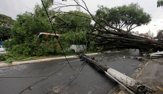 Бразилияда кучли торнадо сабаб бинолар вайрон бўлди