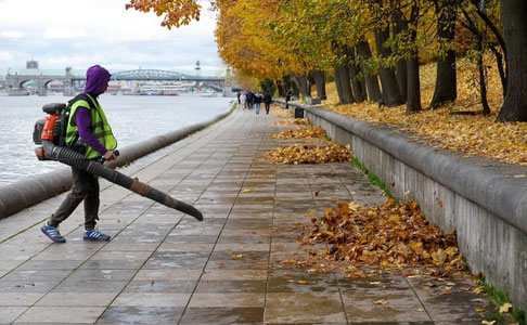 Россияда мигрантлар учун патент нархи ойига 10 000 рублга ошди