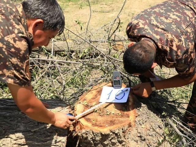 Ўзбекистонда экологик қоидабузарликлар учун жавобгарлик компанияларга юкланади