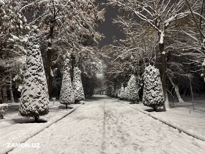 Bugun Respublikada o‘zgaruvchan ob-havo kuzatiladi