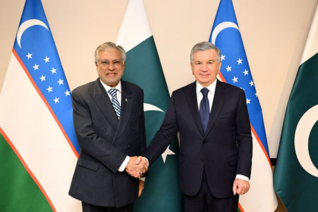 Shavkat Mirziyoyev Pokiston Bosh vaziri o‘rinbosari bilan uchrashdi