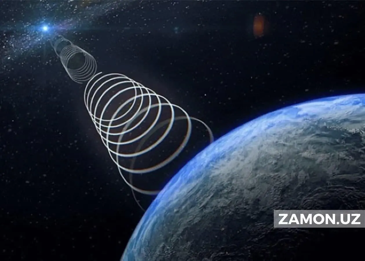 Yangi tovuqning tola kokraklari orasidagi xoroz